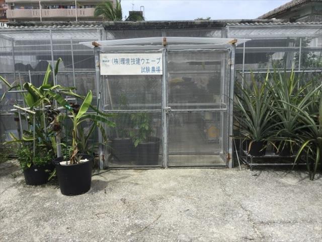 施設栽培の計画・設計・再生