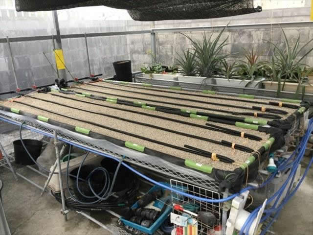 施設栽培の計画・設計・再生