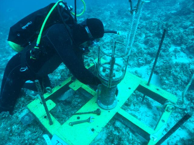 海象・沿岸域調査